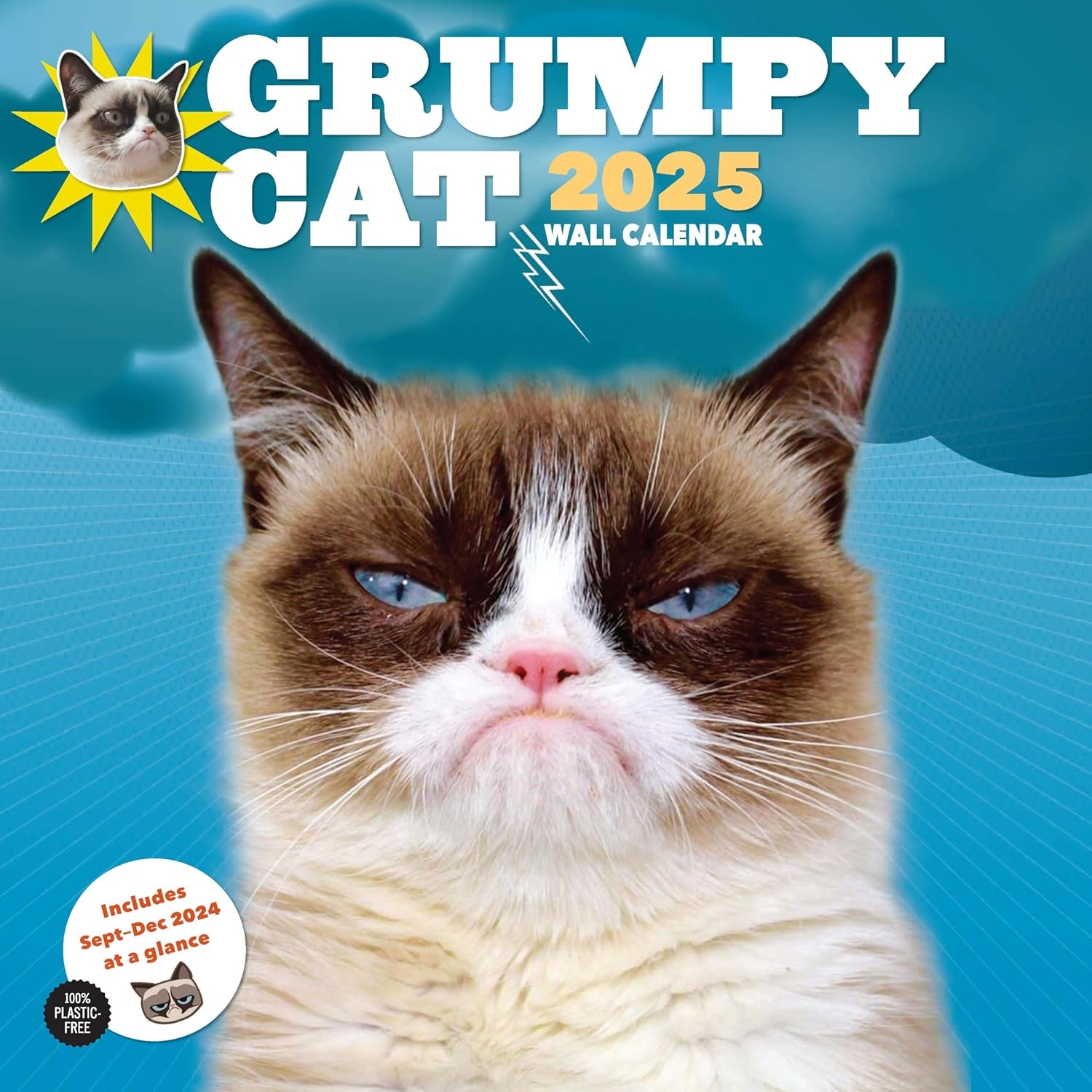 Grumpy Cat 2025 Wall Calendar Cat Grumpy Amazon au Books