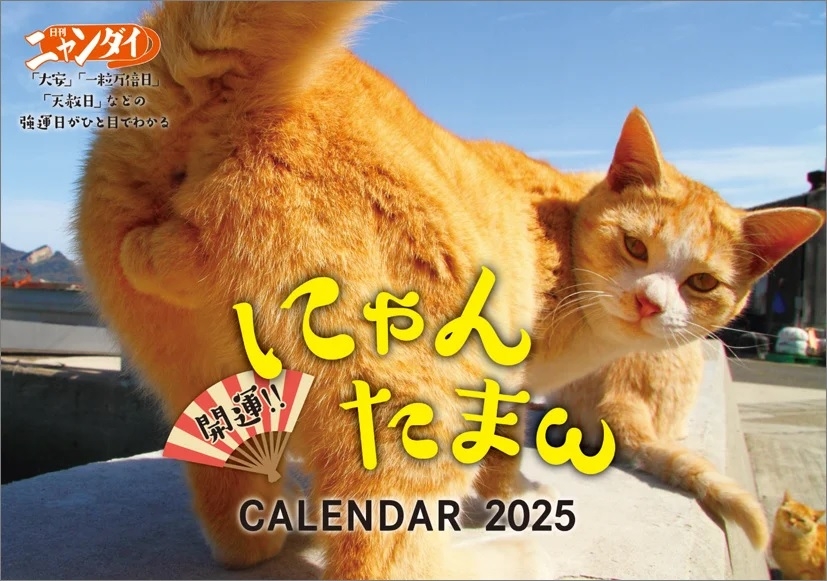 Japan s Cat Testicle Calendar Is Here For Nyantama Fans To Go Nuts With