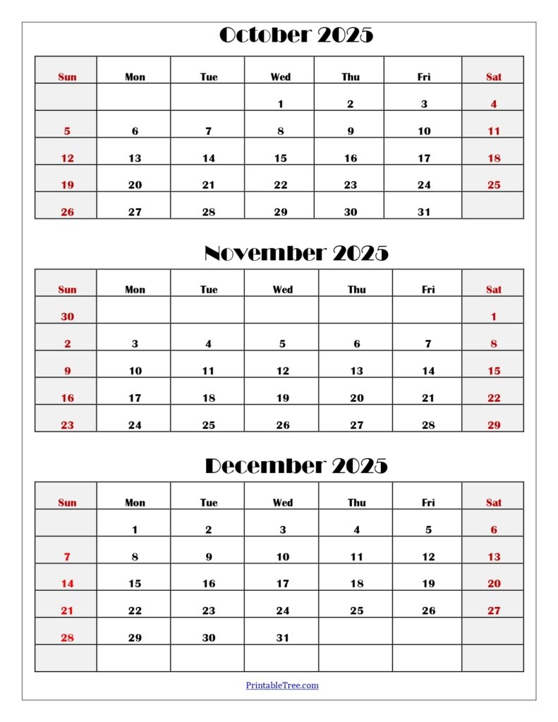 July To December 2025 Calendar Printable PDF Six Months Calendar