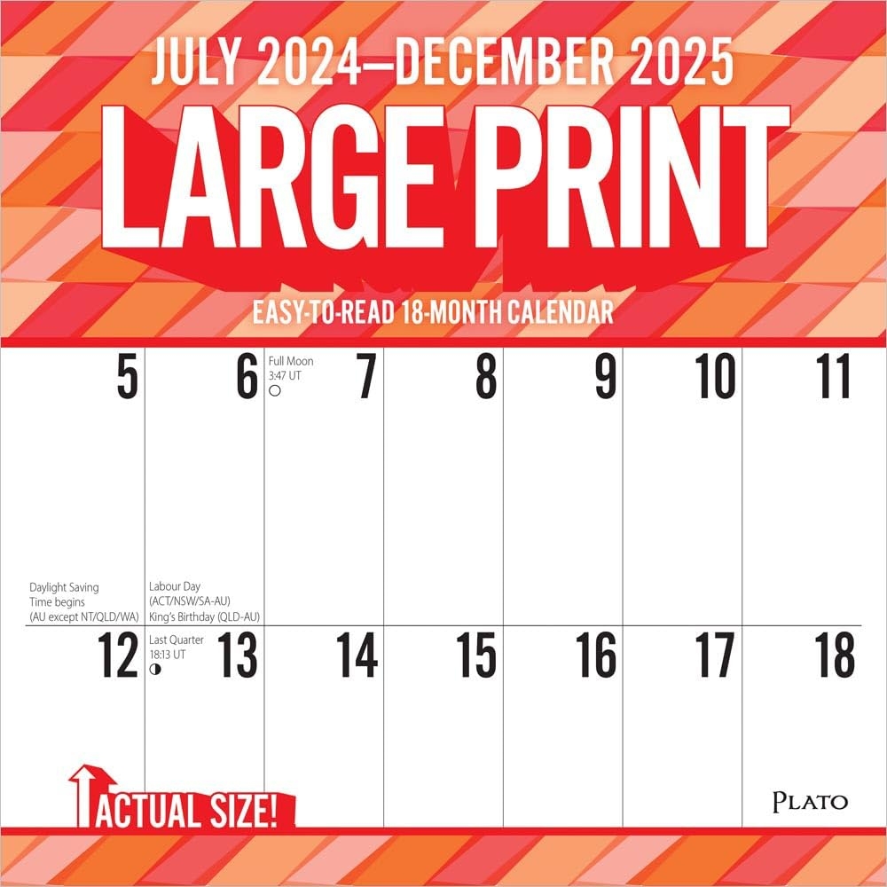 Large Print 2025 12 X 24 Inch 18 Months Monthly Square Wall Calendar 