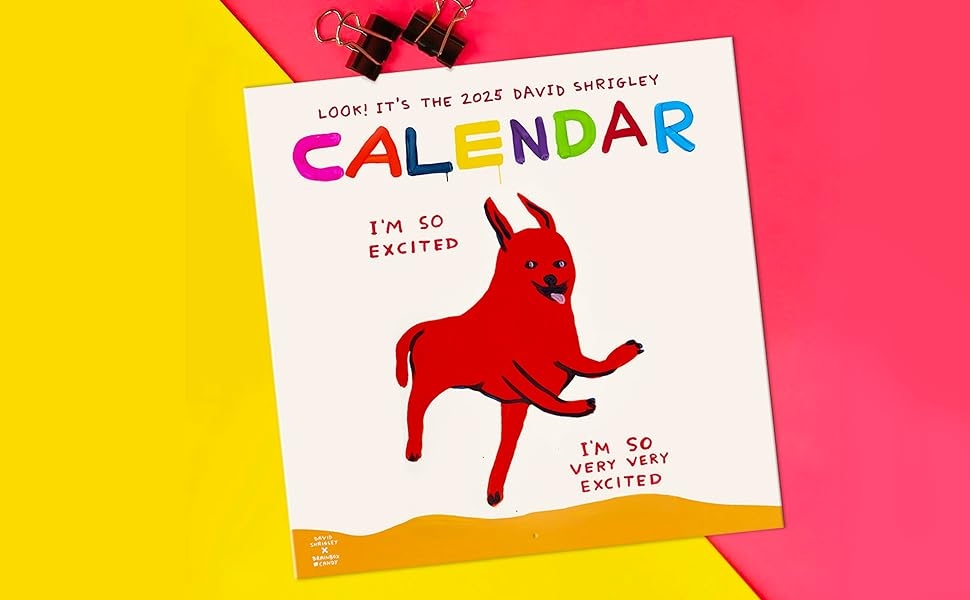 Official David Shrigley 2025 Wall Calendar Contemporary Art Funny 