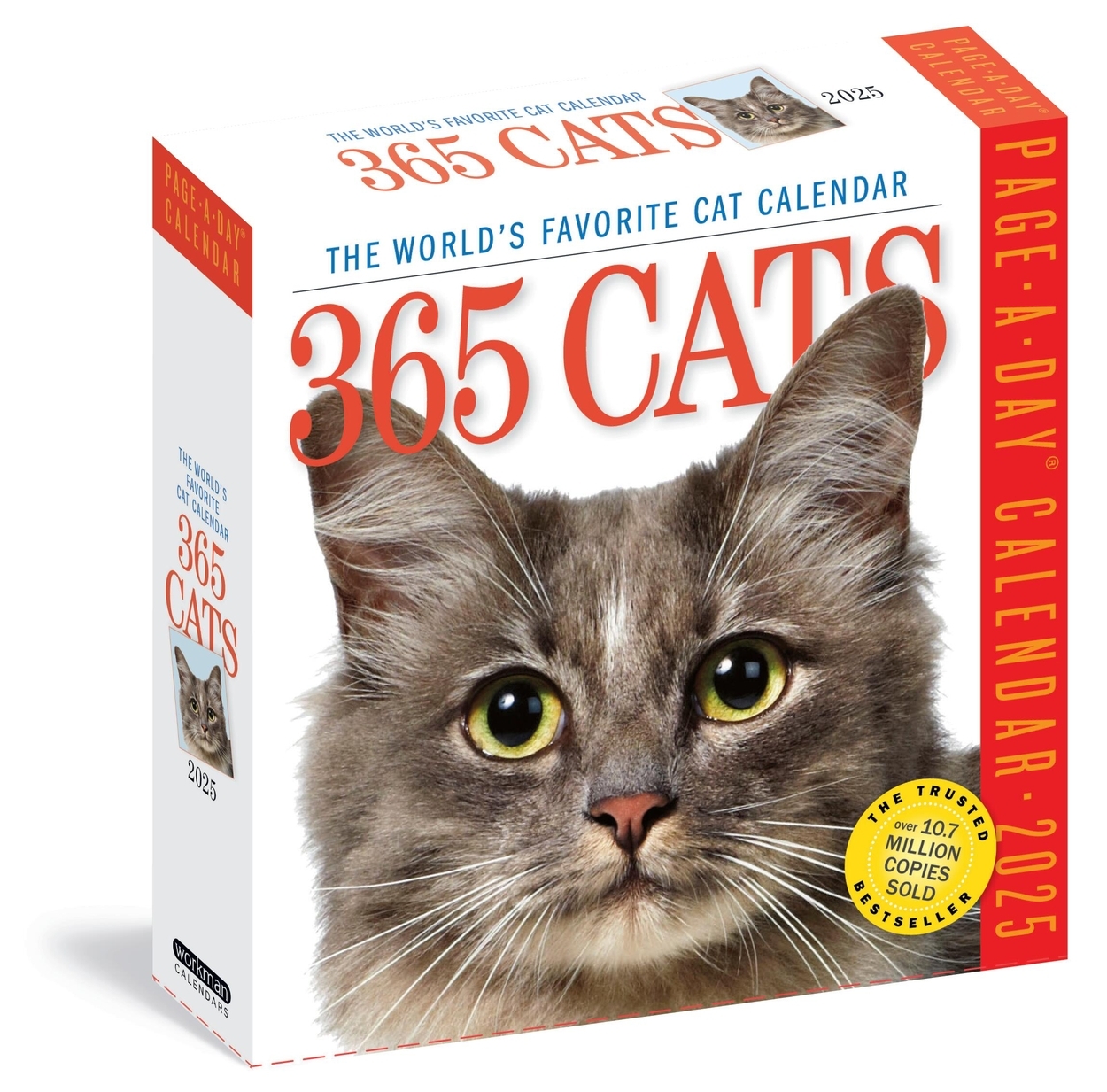 Cat Themed Calendar 2025