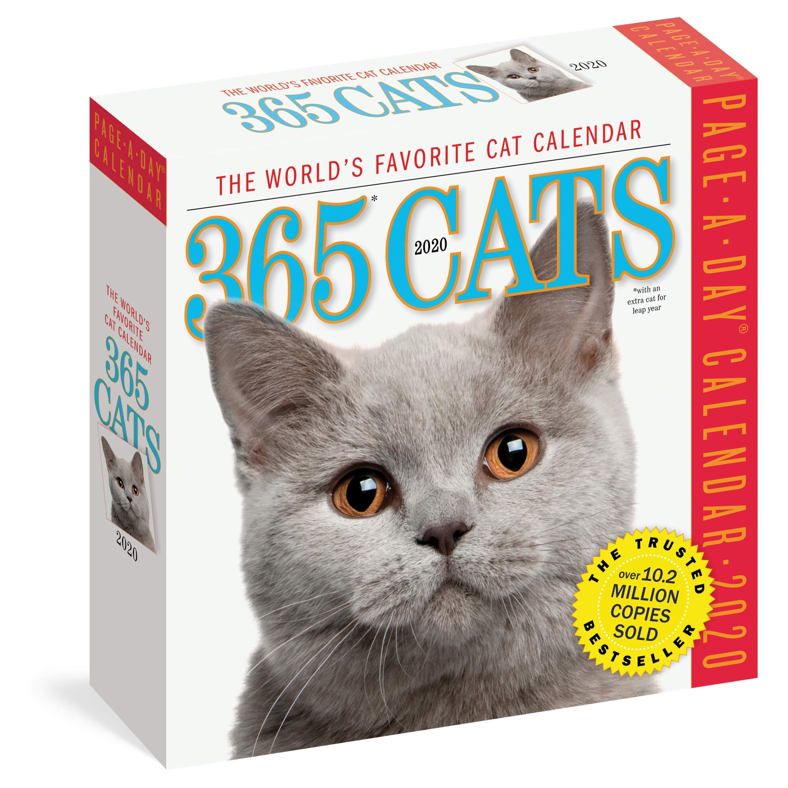 Page A Day Cat Calendar 2025 Daichi Demolen
