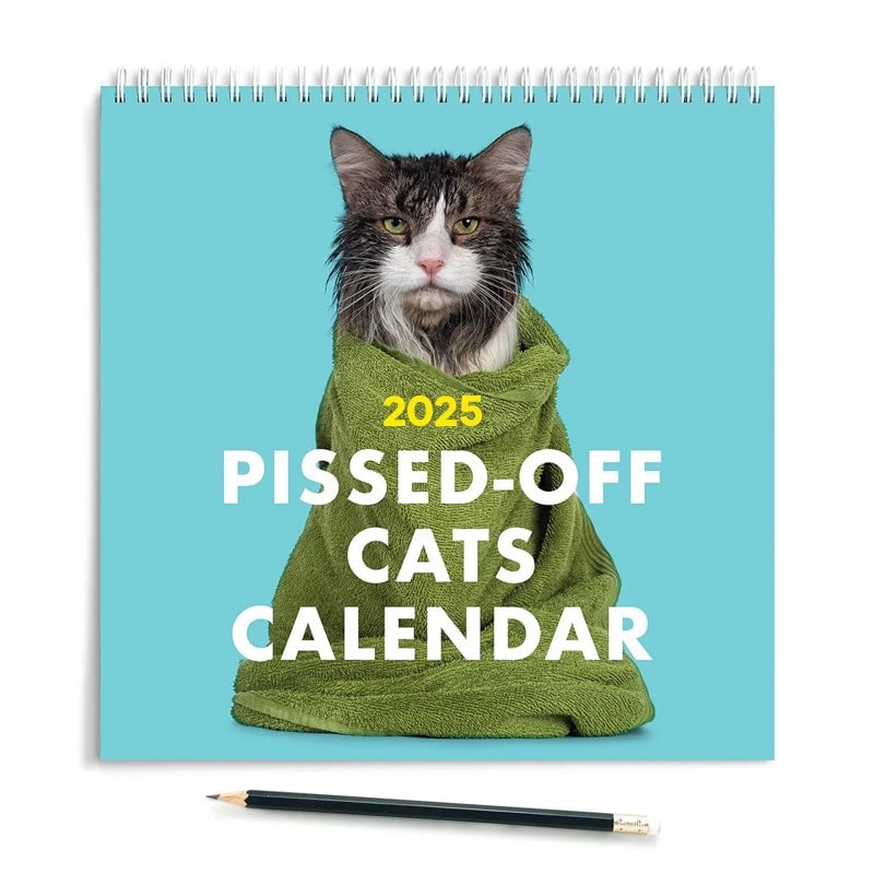 Pissed Off Cats Calendar 2025 John A Burns