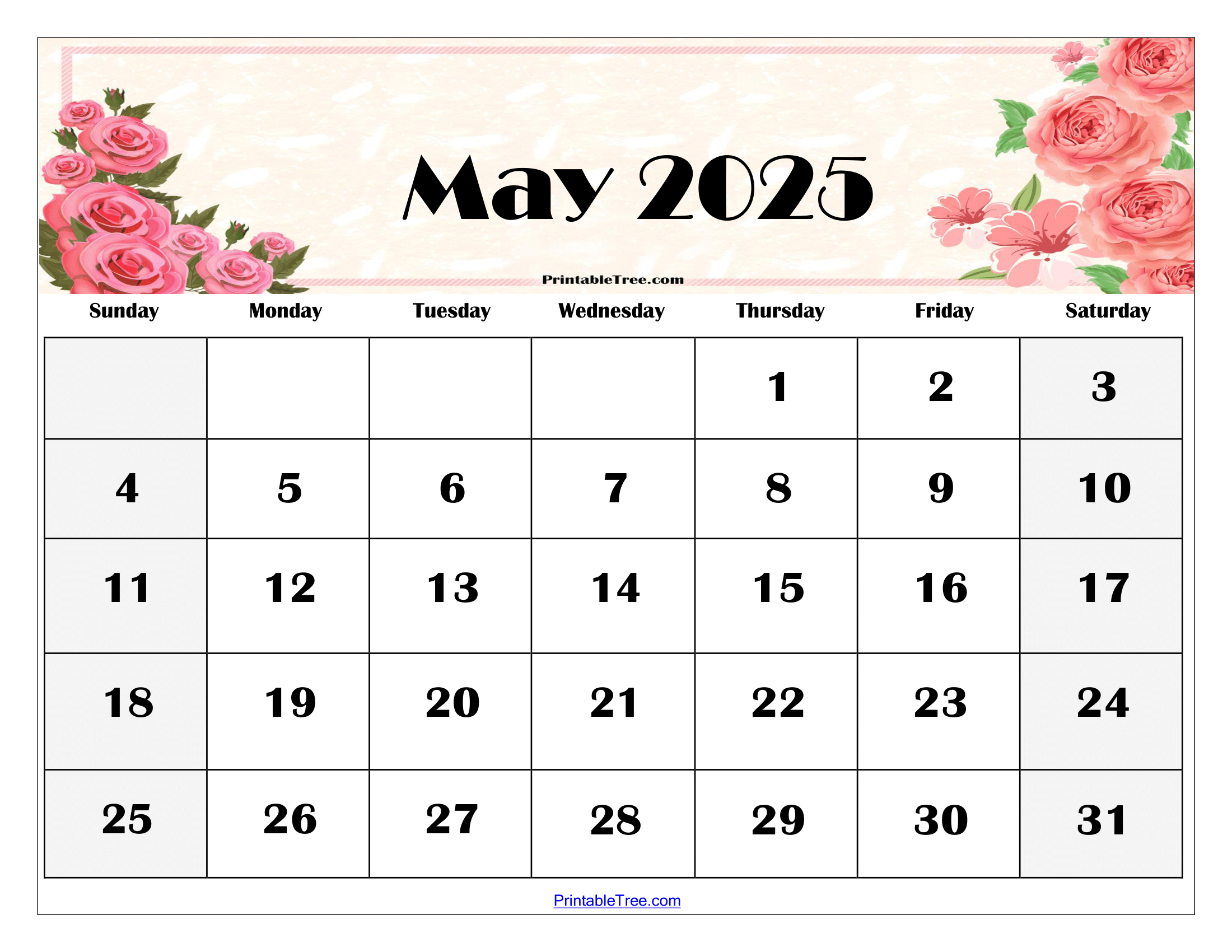 Blank Calendar Of May 2025
