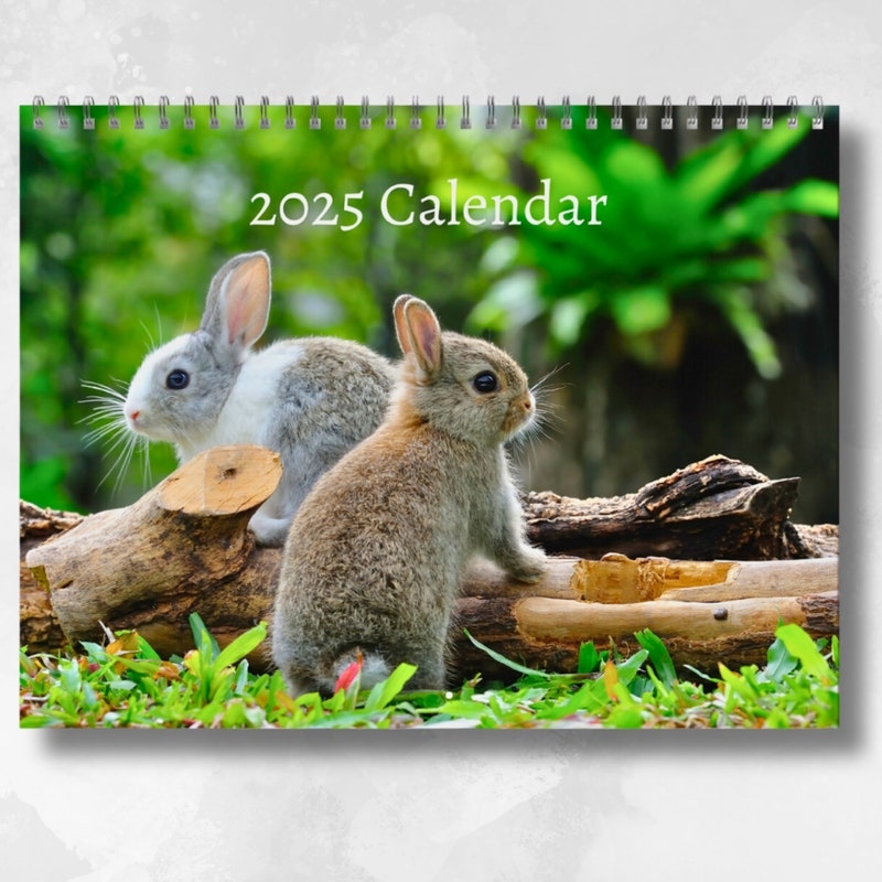 Rabbit Calendars 2025 Etsy