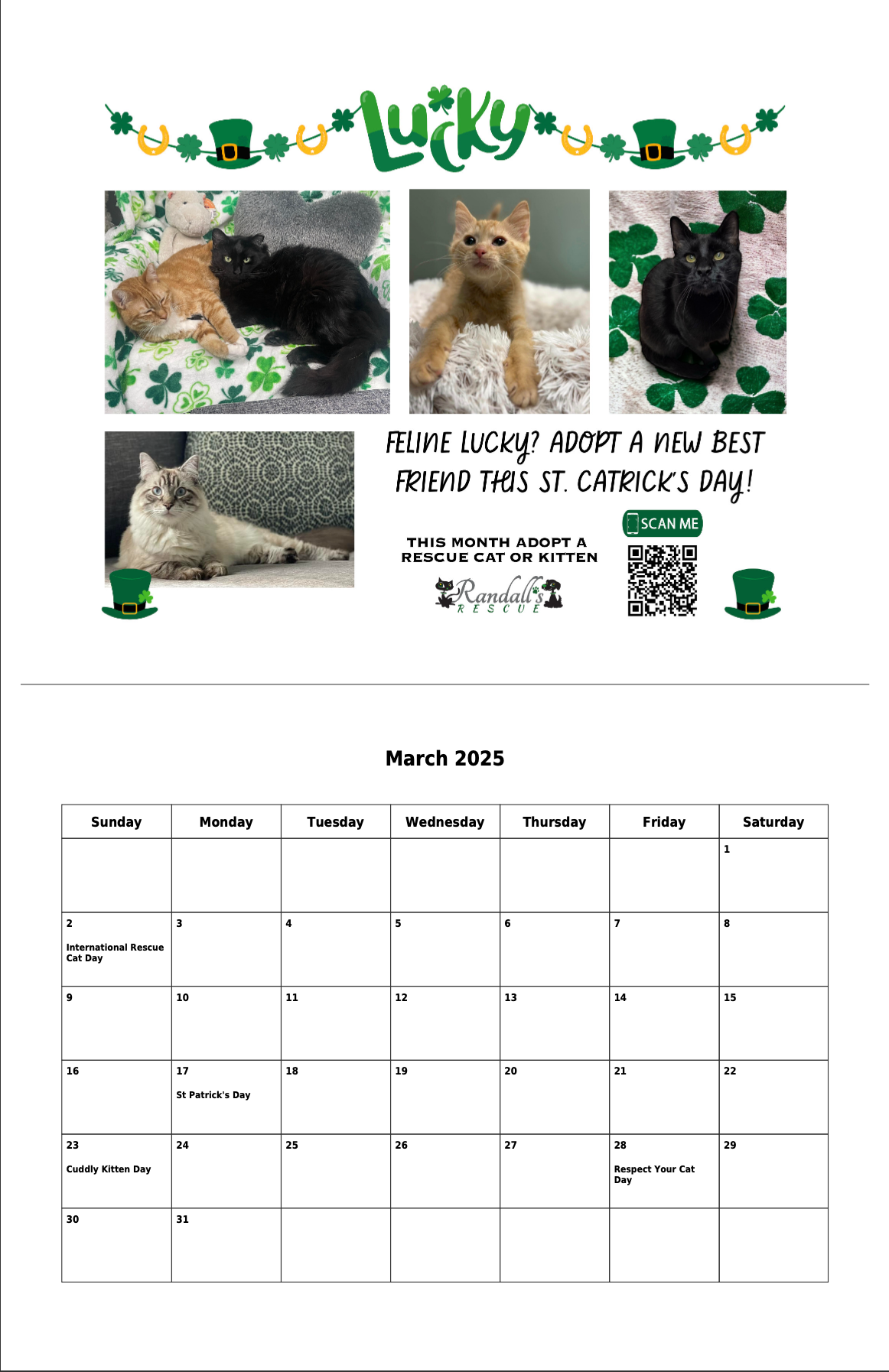 Cat Rescue Calendar 2025