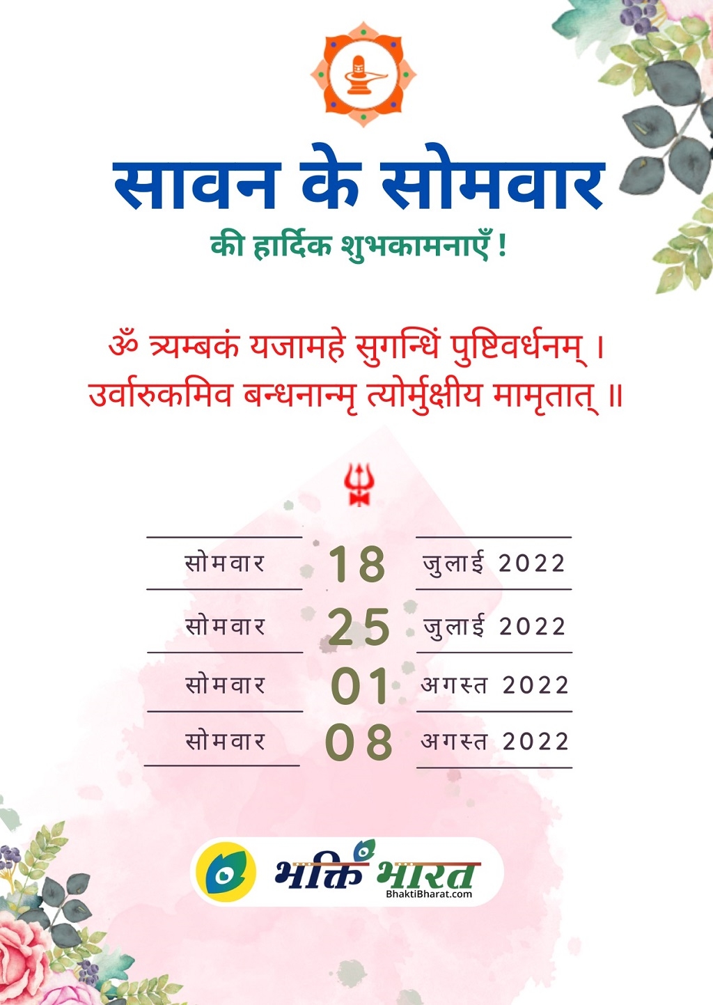 Sawan Kab Se Hai 2025 Irene D Crane