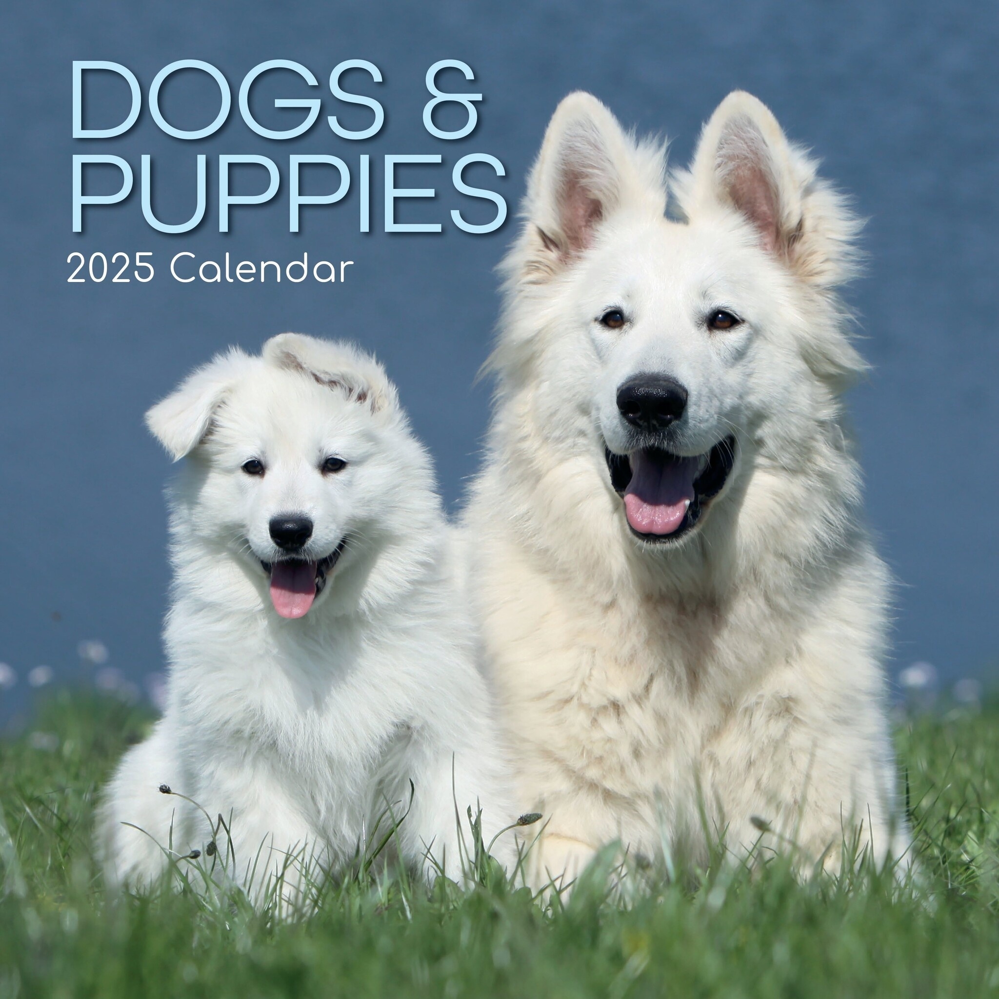 2025 Dog Days Calendar