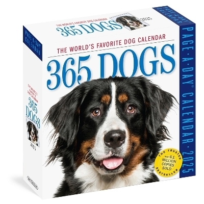 The Ultimate Guide To The 2025 Daily Dog Calendar A Year Of Canine 