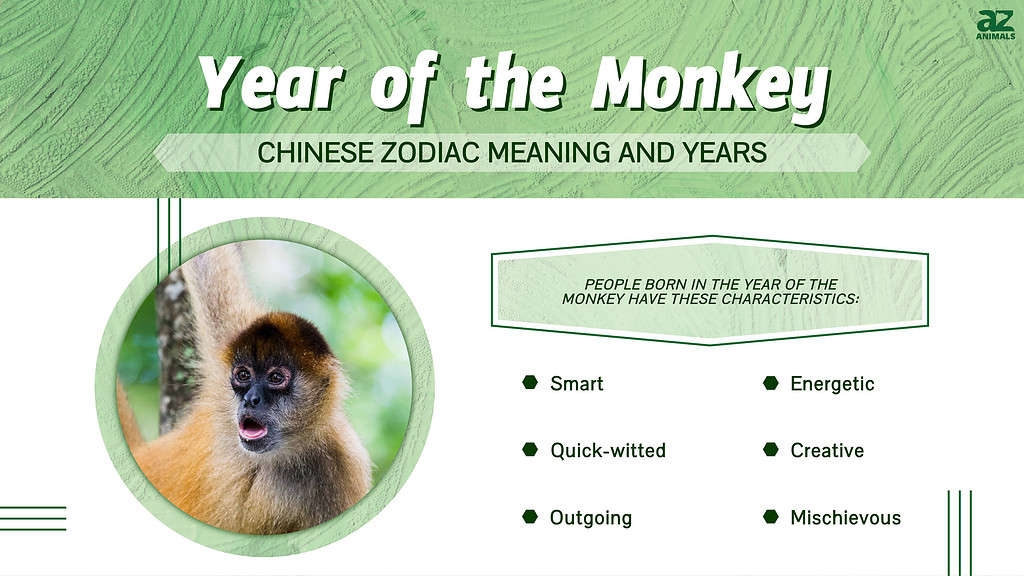 The Year Of The Monkey A Leap Into Innovation And Agility In 2025 