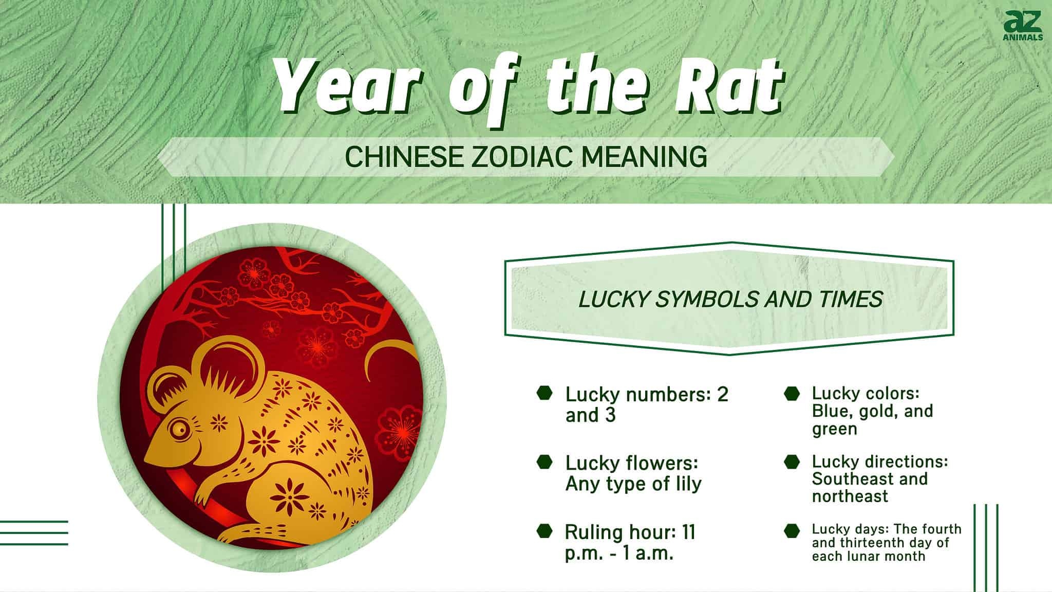 What Is Chinese Zodiac Animal For 2025 Allyce Carolyn