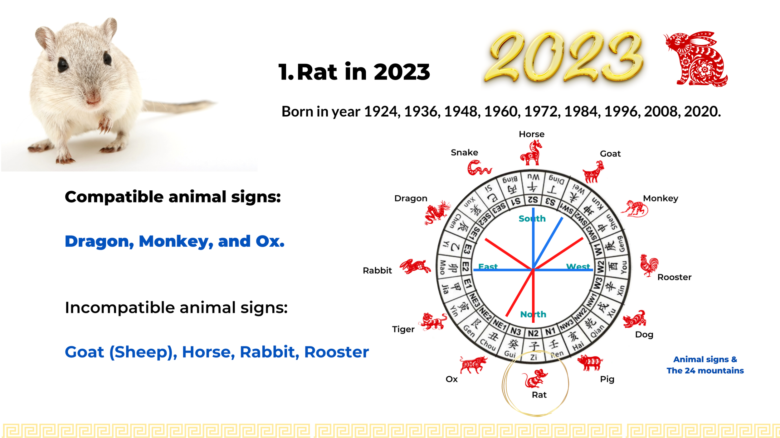 Year Of The Rat 2025 Shina Ronnie