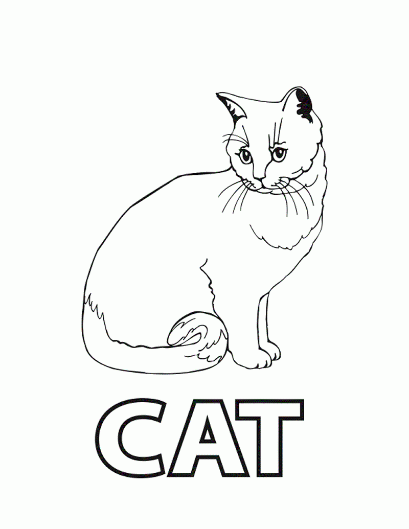 C Is For Cat Printable