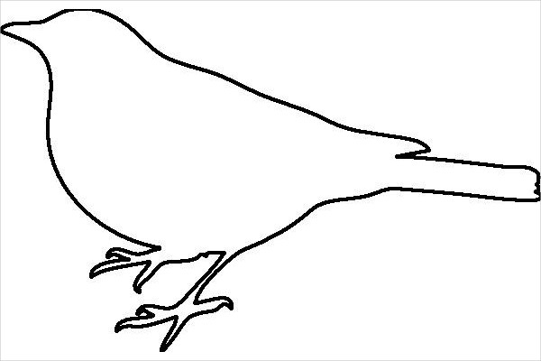 Free Printable. Template Bird Drinking Water On Creek