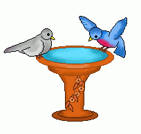 Bird Water Cliparts Adding A Touch Of Serenity To Your Designs