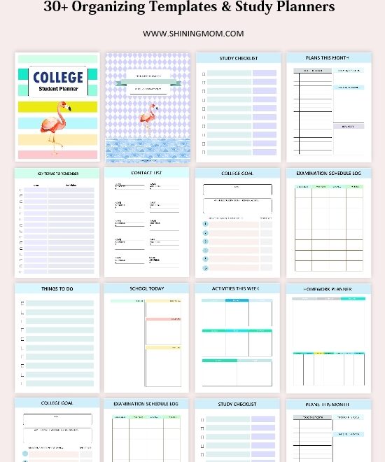 Free College Planner 2025 2026 Best Printable Templates