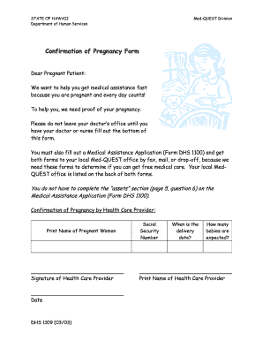 Free Fake Pregnancy Papers Downloads Fill Online Printable Fillable 