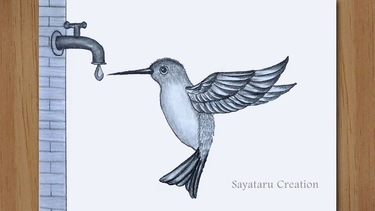 How To Teach Baby Bird To Drink Water At Caitlin Shaeffer Blog