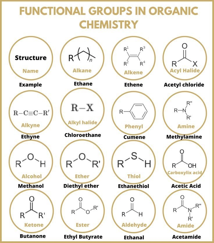 Organic Chemistry Functional Groups Flashcards Printable