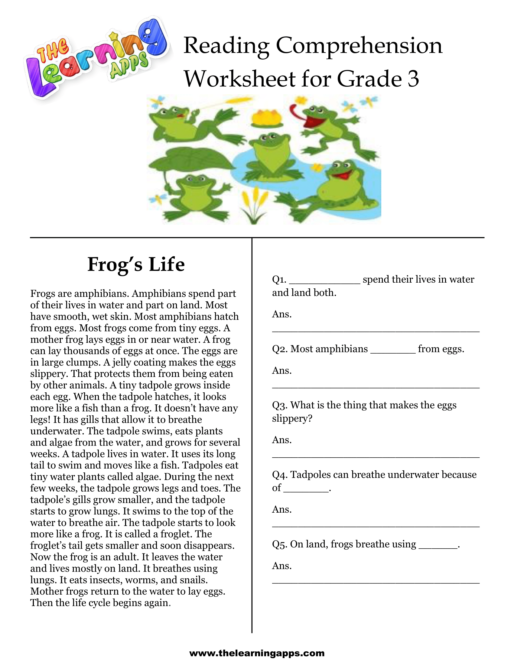 Reading Comprehension Worksheet 3rd Grade