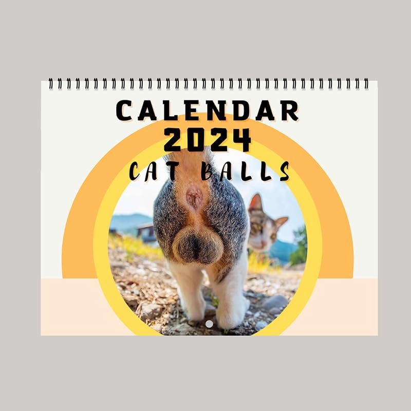 2025 Cat Balls Calendar Louis A Rhamby
