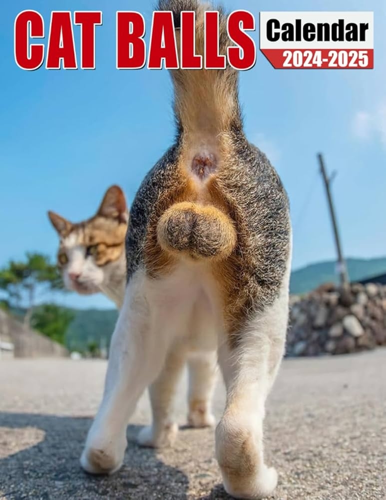 Calendar 2025 Cat Balls Emlynn Coraline