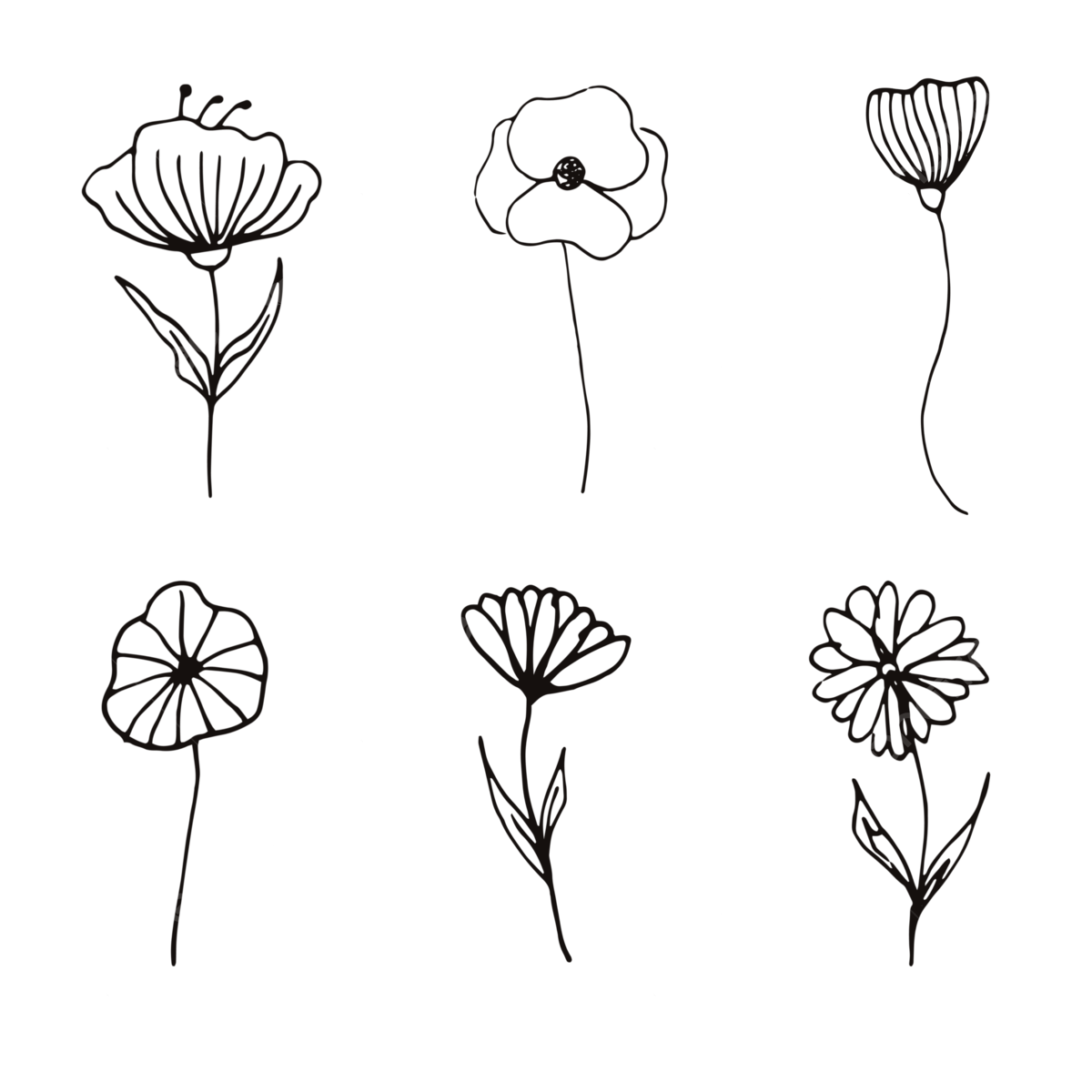 Flower Line Png Doodle Flower Png Floral Doodle Png Vippng The Best 