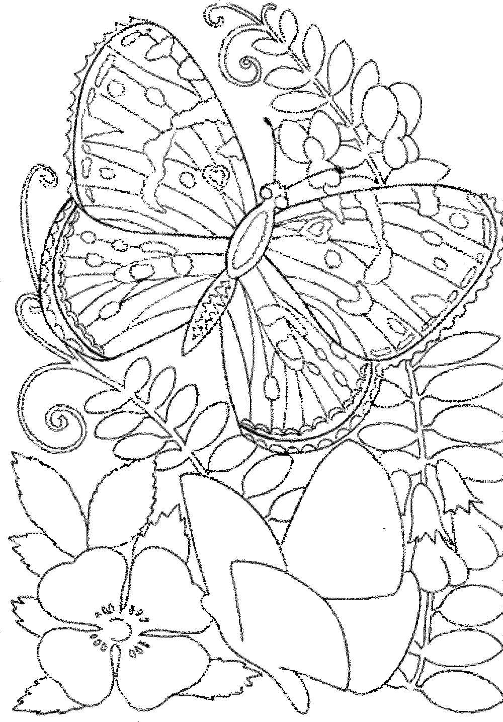 Free Printable Spring Pictures For Adults