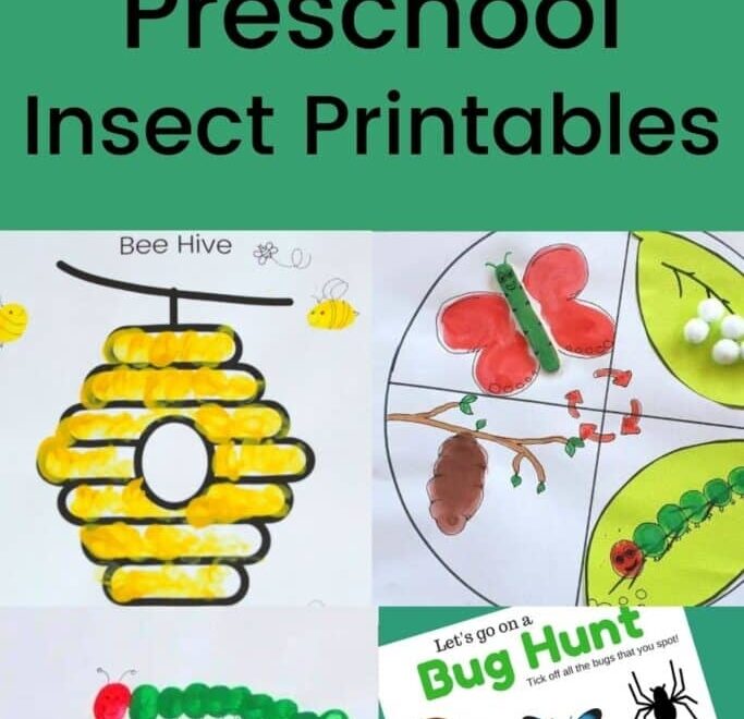 23 Free Preschool Insect Theme Printables Activities