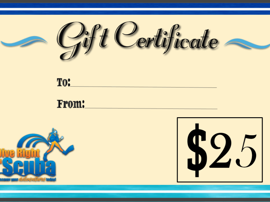 25 Gift Certificate