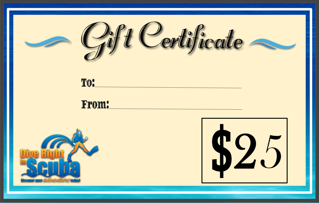  25 Gift Certificate