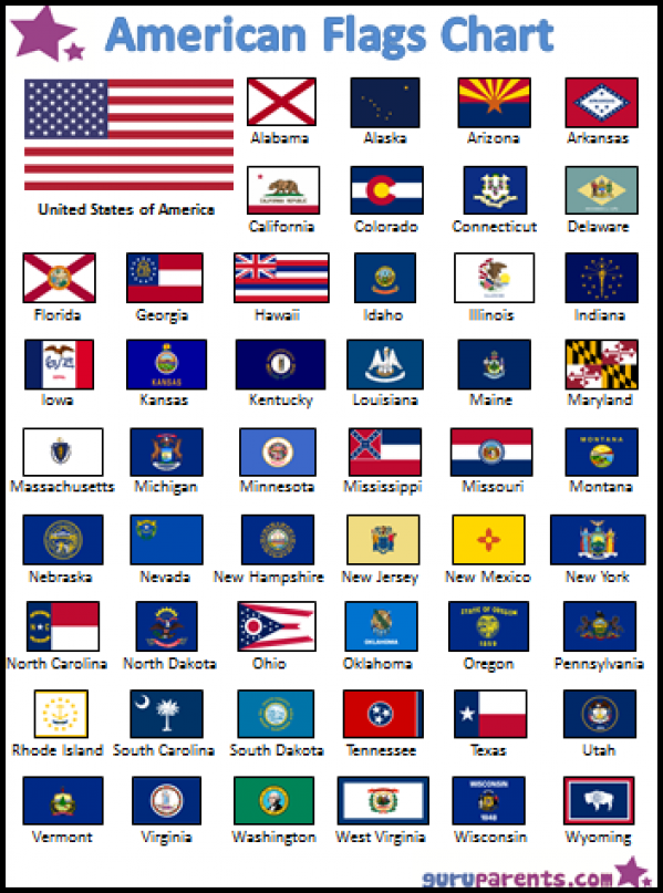 50 State Flags Printable