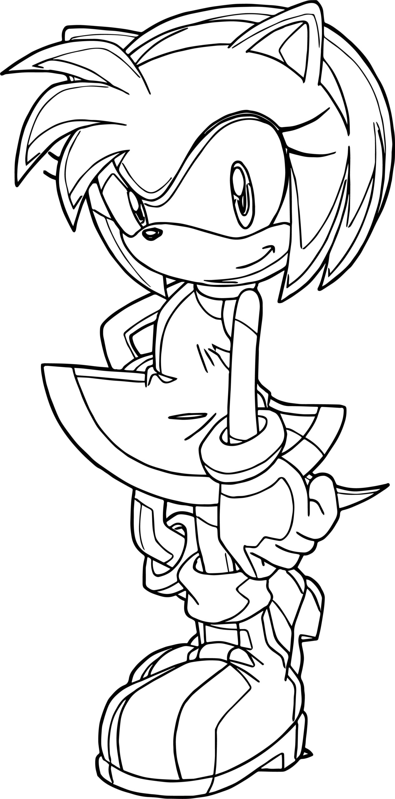 Amy Rose Coloring Pages Printable Dev onallcylinders