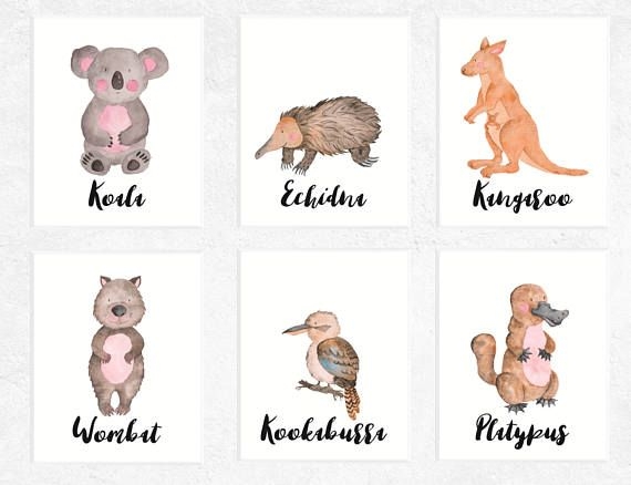 Australian Animal Printables Set Of 6 Australian Animals Nursery