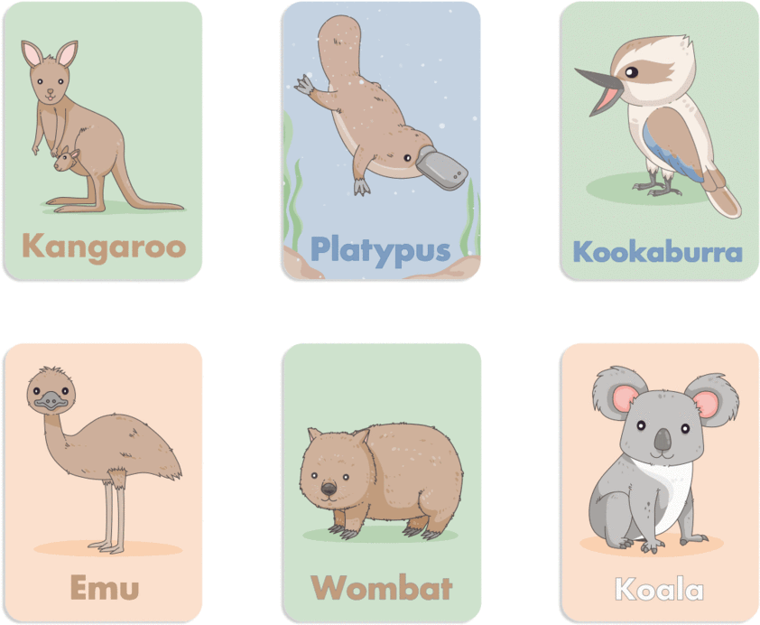 Australian Animals Flash Learning Cards Kangaroo Platypus Kookaburra 