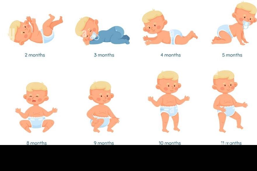 Baby Growth Stages Development Process From Newborn To Toddler Baby