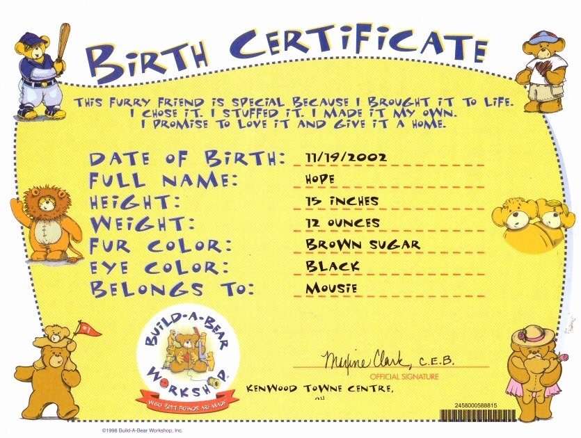 Build A Bear Birth Certificate Printable Blank