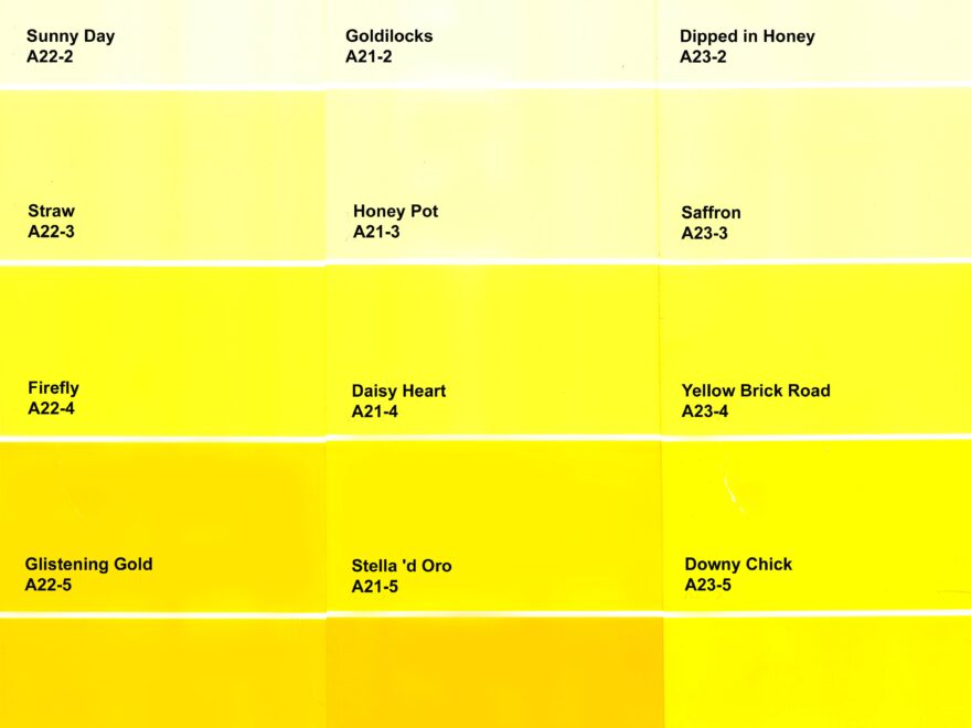 Color Scale Yellow Paint Free Image Download