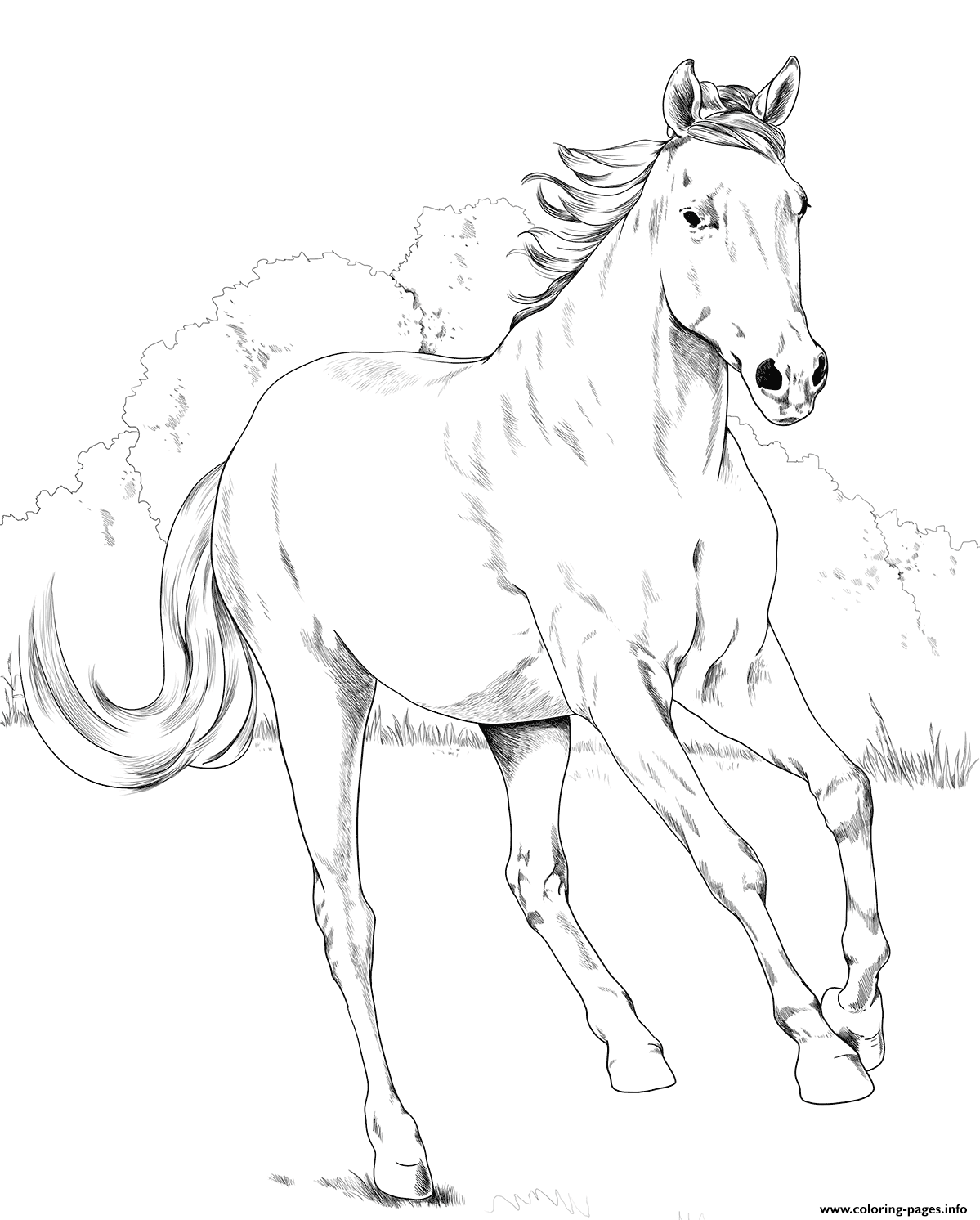 Mustang Horse Coloring Pages Printable Mustang Horse Coloring Pages Printable