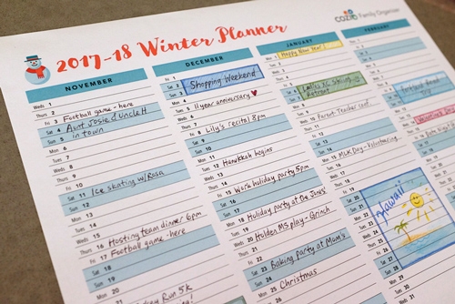 Cozi Calendar