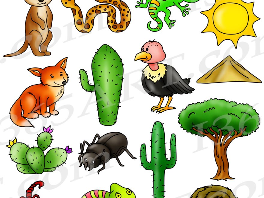 Desert Plants And Animals Clipart