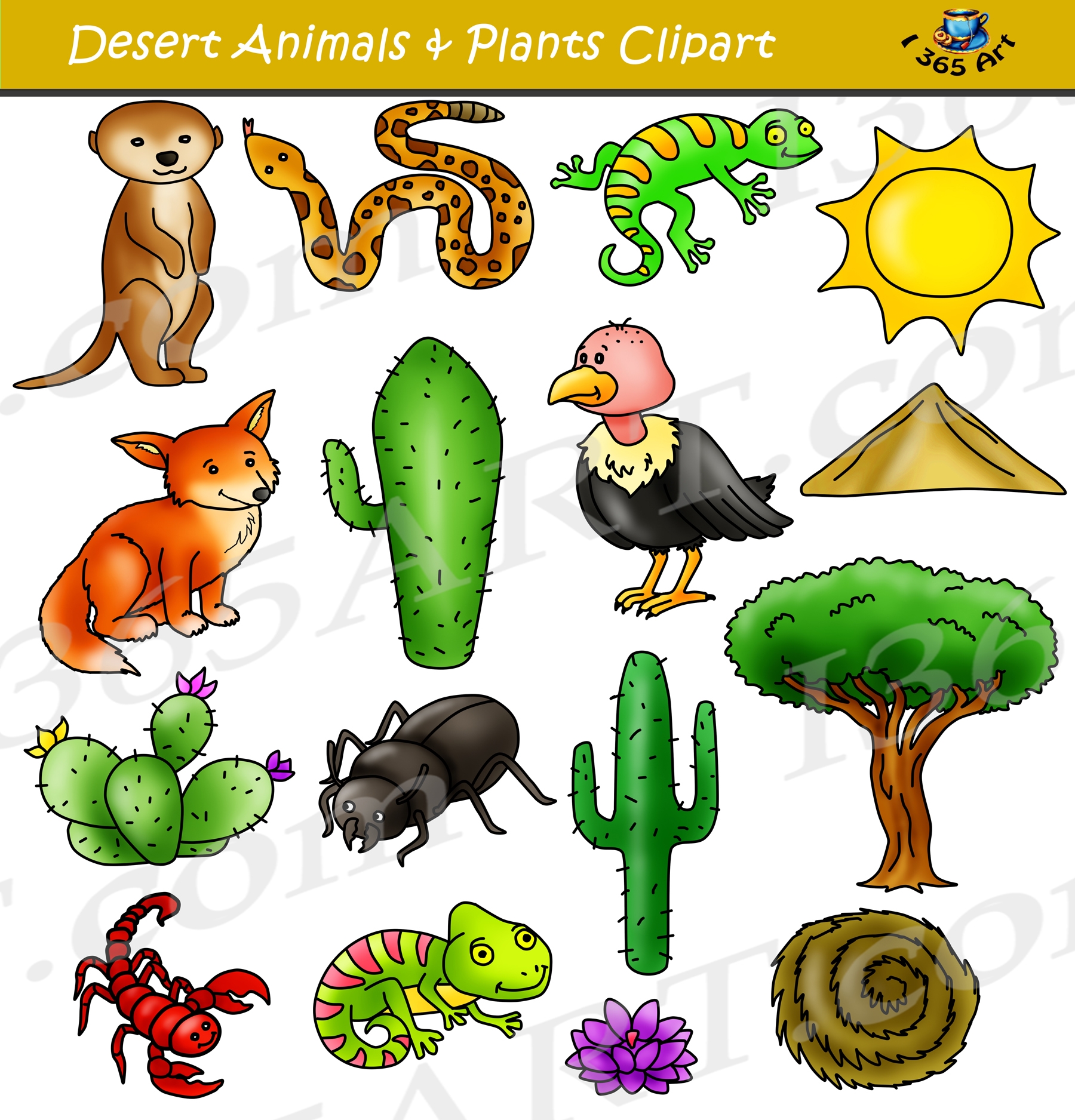 Desert Plants And Animals Clipart