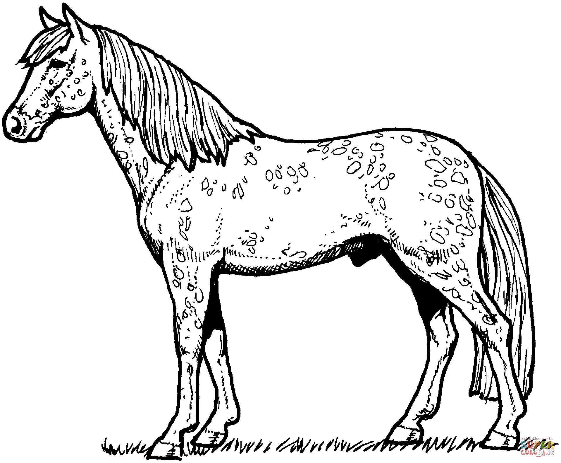 Printable Horse Coloring Pages