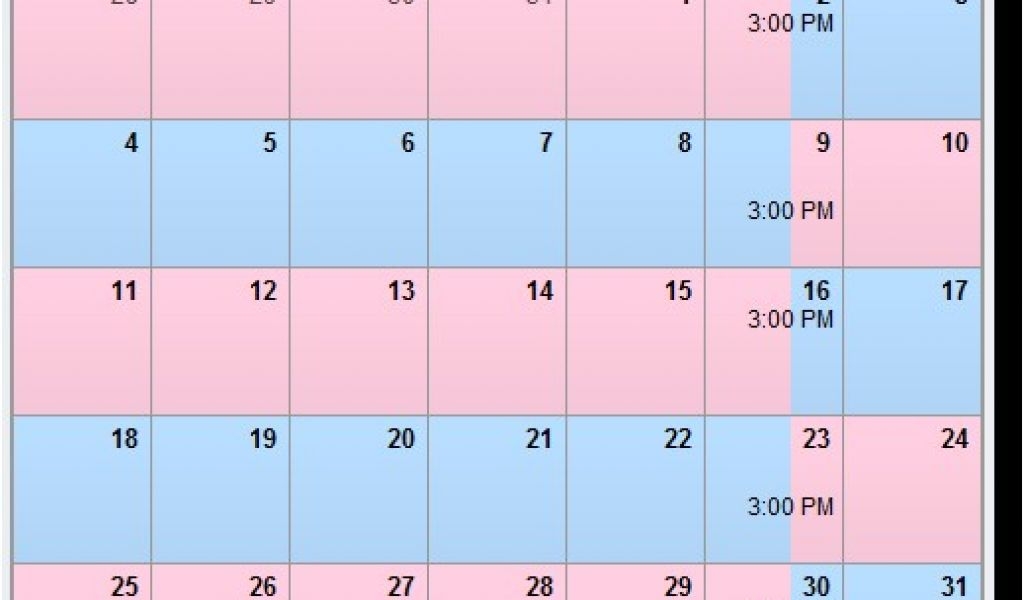 Free Child Custody Calendar Template Free Printable Custody Calendar 