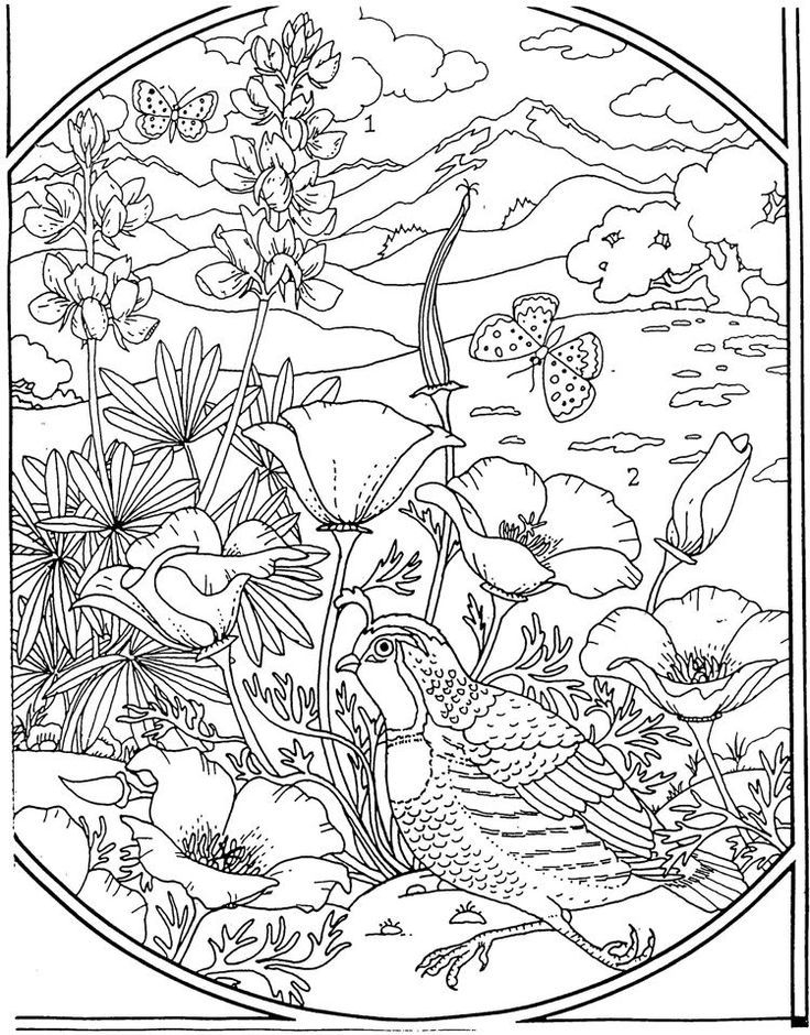 Free Printable Adult Coloring Pages Spring Free Coloring Sheet 