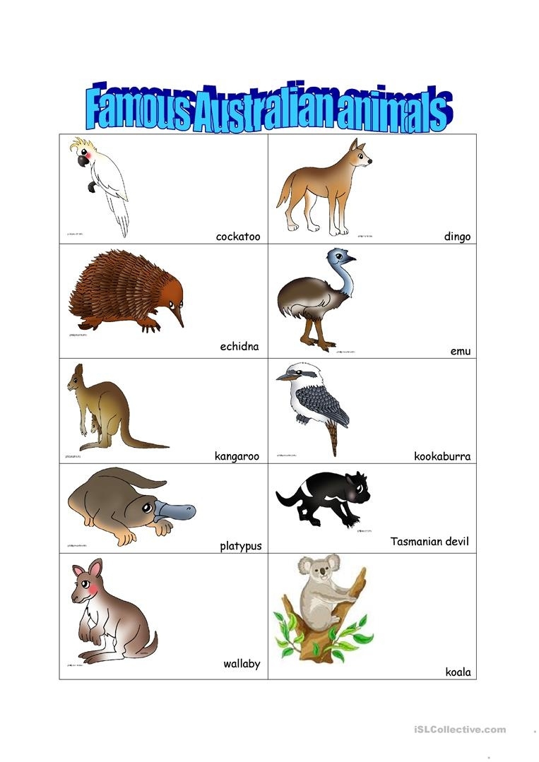 Free Printable Australian Animals Printable Word Searches