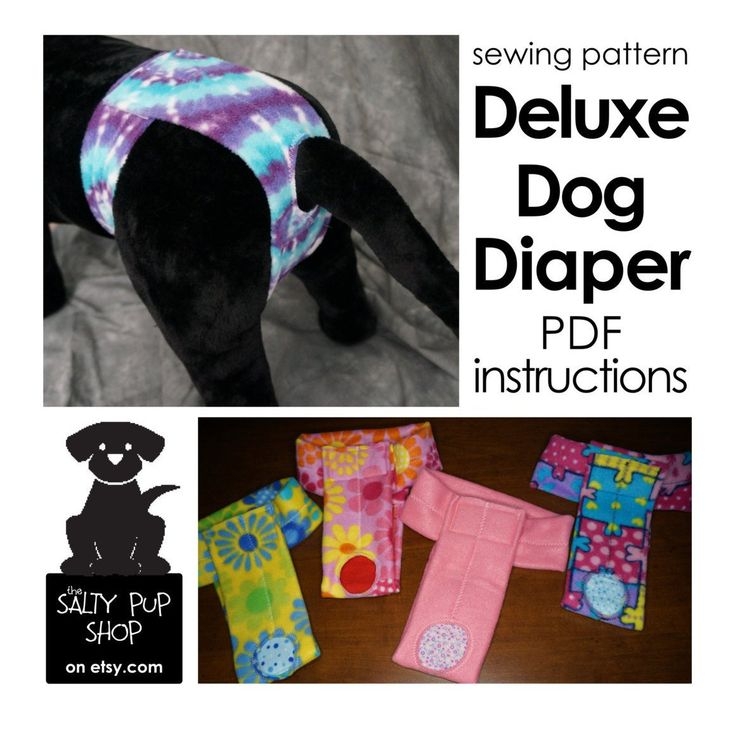 Free Printable Dog Diaper Pattern Dev onallcylinders