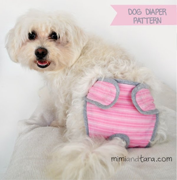 Free Printable Dog Diaper Pattern Free Printables Hub