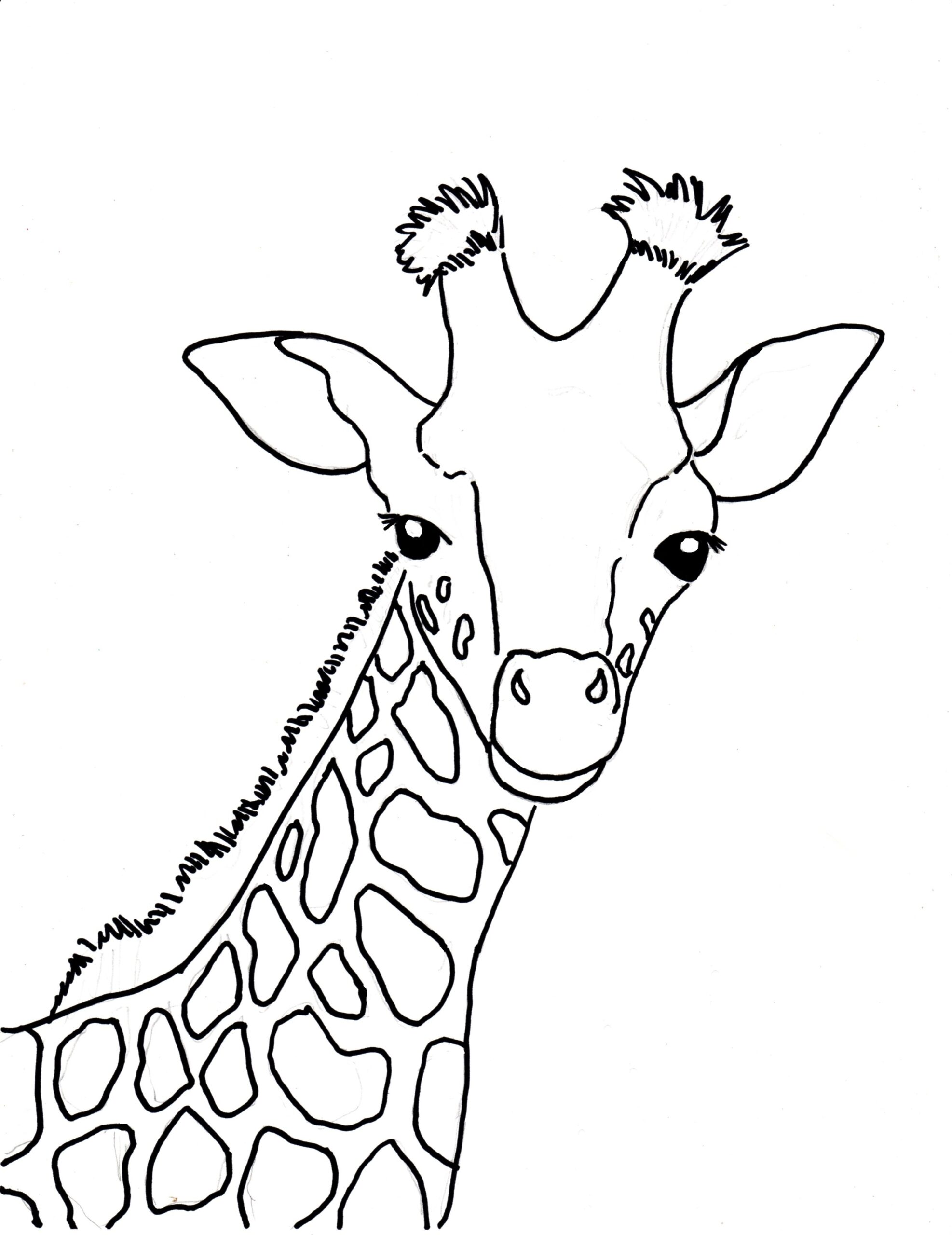 Free Printable Giraffe Coloring Pages